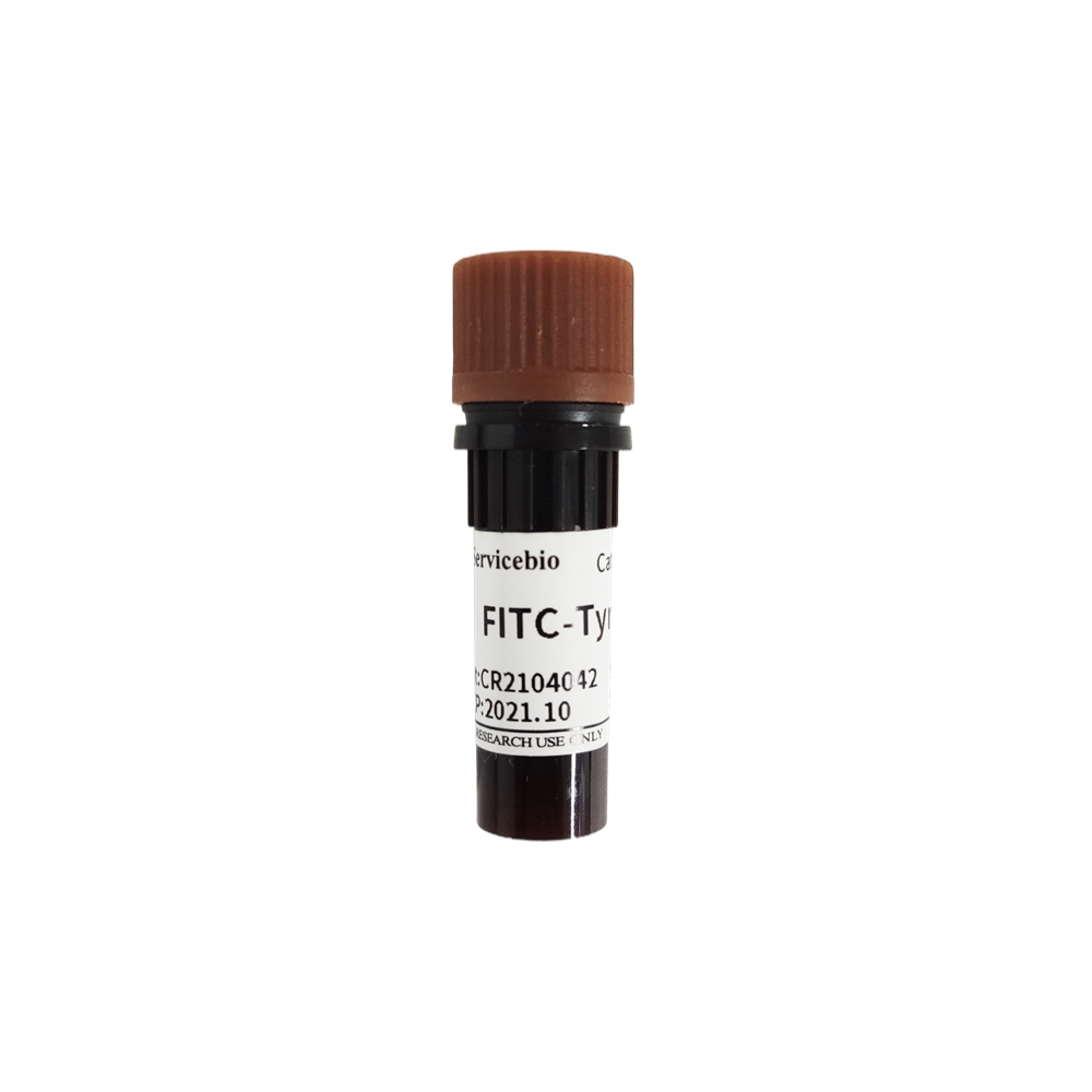 FITC-Tyramide para la amplificación de señal de tiramida Reactivo de inmunofluorescencia