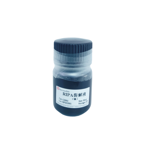 G2002-100ml 100 ml Tampón de lisis ripa fuerte para celda